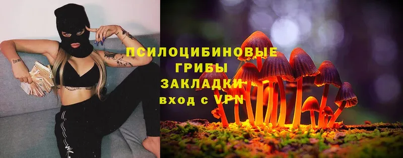 Галлюциногенные грибы Magic Shrooms Задонск